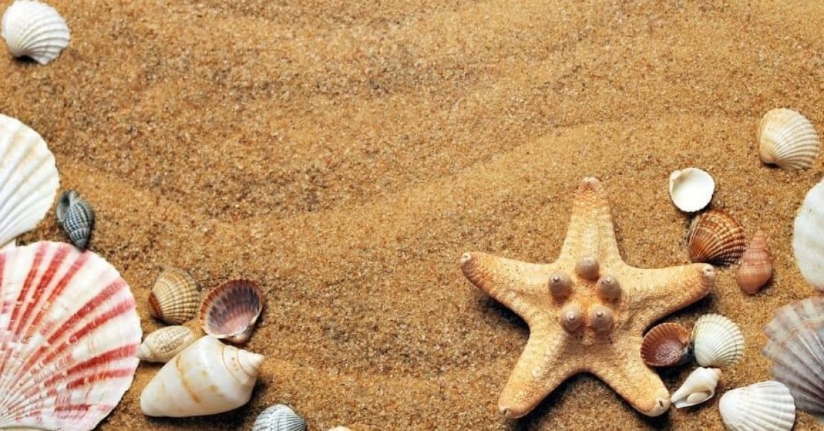 emprendimiento y vacaciones